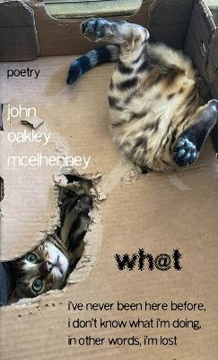 wh@t - John Oakley McElhenney - cover