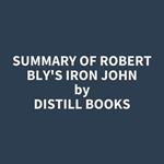 Summary of Robert Bly's Iron John