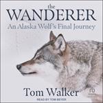 The Wanderer