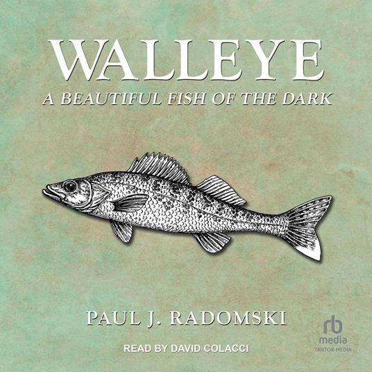 Walleye