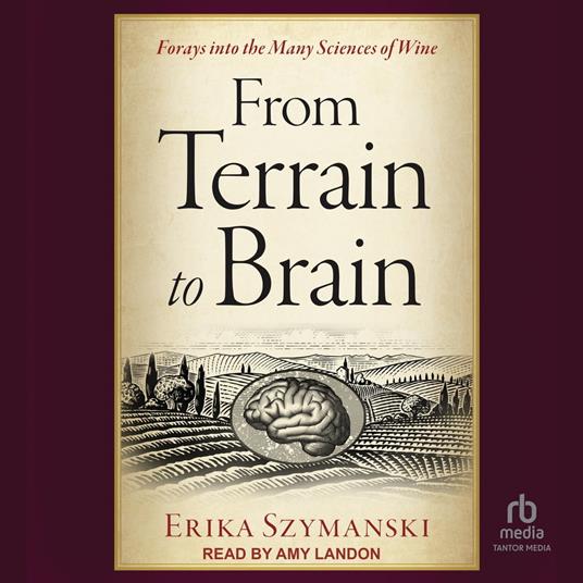 From Terrain to Brain