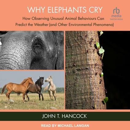 Why Elephants Cry