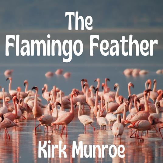 Flamingo Feather, The