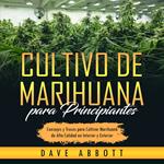 Cultivo de Marihuana para Principiantes