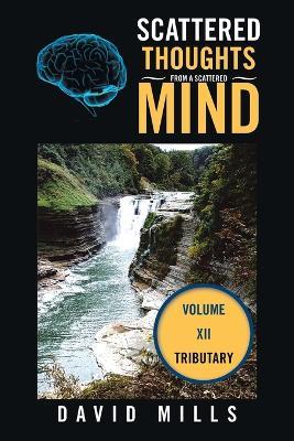 Scattered Thoughts From a Scattered Mind: Volume XII - David Mills - cover