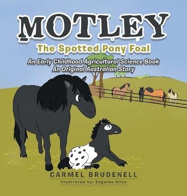 Motley: The Spotted Pony Foal - Carmel Brudenell - cover