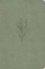 NASB Large Print Personal Size Reference Bible, Sage Suedesoft Leathertouch