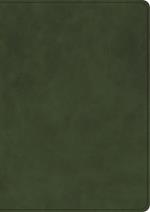CSB She Reads Truth Bible, Holman Handcrafted Collection, Olive Premium Calfskin