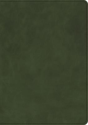 CSB She Reads Truth Bible, Holman Handcrafted Collection, Olive Premium Calfskin - Raechel Myers,Amanda Bible Williams,Csb Bibles by Holman - cover