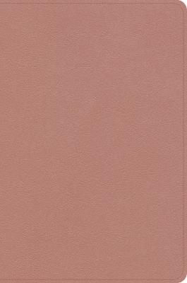 CSB Study Bible, Personal Size, Digital Study Edition, Rose Gold Leathertouch - Csb Bibles by Holman - cover