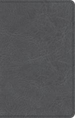 NASB Personal Size Bible, Charcoal Leathertouch
