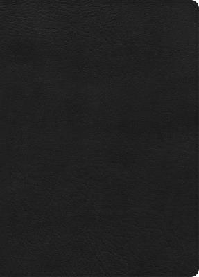 CSB Study Bible, Large Print, Digital Study Edition, Black Leathertouch, Indexed - Csb Bibles by Holman - cover