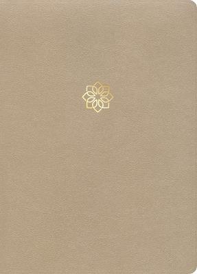 CSB Study Bible, Large Print, Digital Study Edition, Gold Leathertouch, Indexed - Csb Bibles by Holman - cover