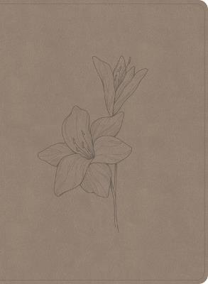 CSB Verse-By-Verse Reference Bible, Digital Study Edition, Earth Suedesoft Leathertouch - Csb Bibles by Holman - cover