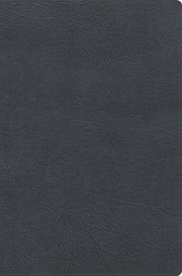 Rvr 1960 Biblia de Estudio Letra Gigante, Gris, Símil Piel Con Índice - cover