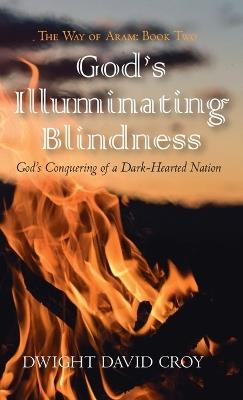God's Illuminating Blindness - Dwight David Croy - cover