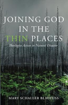Joining God in the Thin Places - Mary Schaller Blaufuss - cover