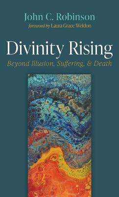 Divinity Rising - John C Robinson - cover
