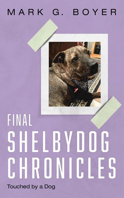 Final Shelbydog Chronicles
