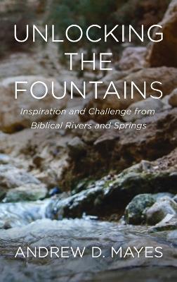 Unlocking the Fountains - Andrew D Mayes - cover
