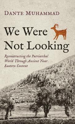 We Were Not Looking - Dante Muhammad - cover