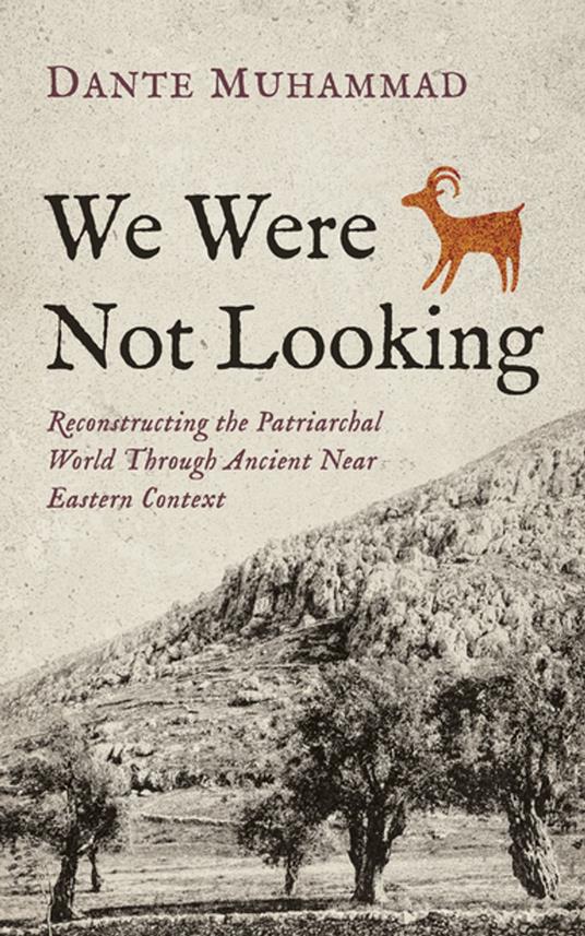 We Were Not Looking