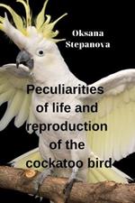 Peculiarities of life and reproduction of the cockatoo bird