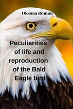 Peculiarities of life and reproduction of the Bald Eagle bird