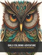 Owls Coloring Adventure: 50 Intricate Illustrations for Mindfulness