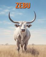 Zebu: Fun Facts Book for Kids with Amazing Photos