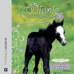 Friendly Foal