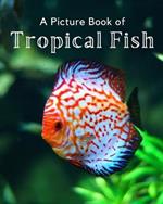 A Picture Book of Tropical Fish: A Beautiful Picture Book for Seniors With Alzheimer's or Dementia.