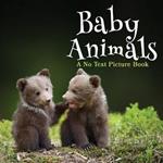 Baby Animals, A No Text Picture Book: A Calming Gift for Alzheimer Patients and Senior Citizens Living With Dementia