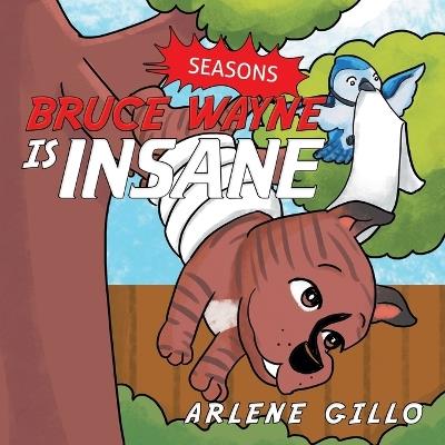 Bruce Wayne Is Insane: Seasons - Arlene Gillo - cover
