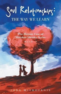 Soul Relationships: The Way We Learn: The Human Case of Mistaken Identity Series Book 3 - Leda Mitrofanis - cover
