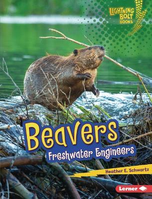 Beavers: Freshwater Engineers - Heather E. Schwartz - cover