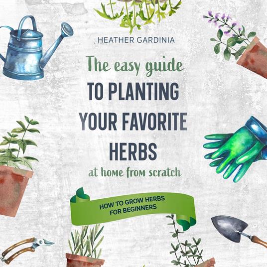 How to Grow Herbs for Beginners