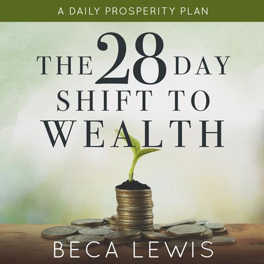 28 Day Shift To Wealth, The