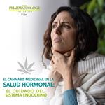 El cannabis medicinal en la salud hormonal: el cuidado del sistema endocrino