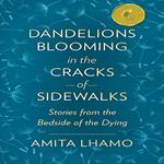 Dandelions Blooming in the Cracks of Sidewalks