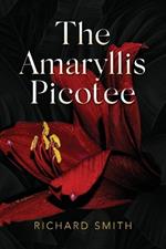 The Amaryllis Picotee