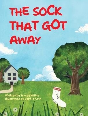The Sock That Got Away - Tracey Wiltse - cover