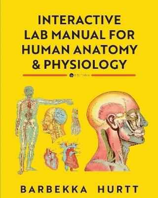 Interactive Lab Manual for Human Anatomy and Physiology - Barbekka Hurtt - cover