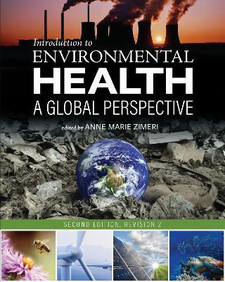 Introduction to Environmental Health: A Global Perspective - cover