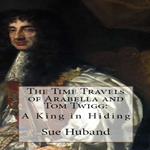 The Time Travels of Arabella and Tom Twigg: A King in Hiding