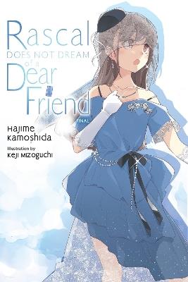 Rascal Does Not Dream of a Dear Friend (light novel) - Andrew Cunningham,Hajime Kamoshida,Keji Mizoguchi - cover