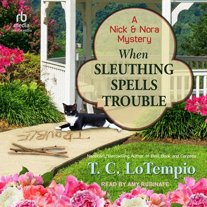When Sleuthing Spells Trouble