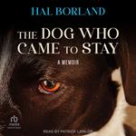 The Dog Who Came to Stay