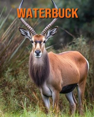 Waterbuck: Amazing Photos and Fun Facts Book for kids - Kathi Hession - cover
