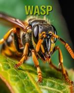 Wasp: Fun and Educational Book for Kids with Amazing Facts and Pictures